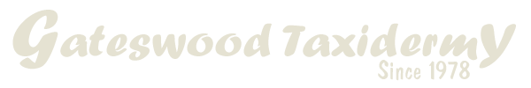 Gateswood Taxidermy Logo